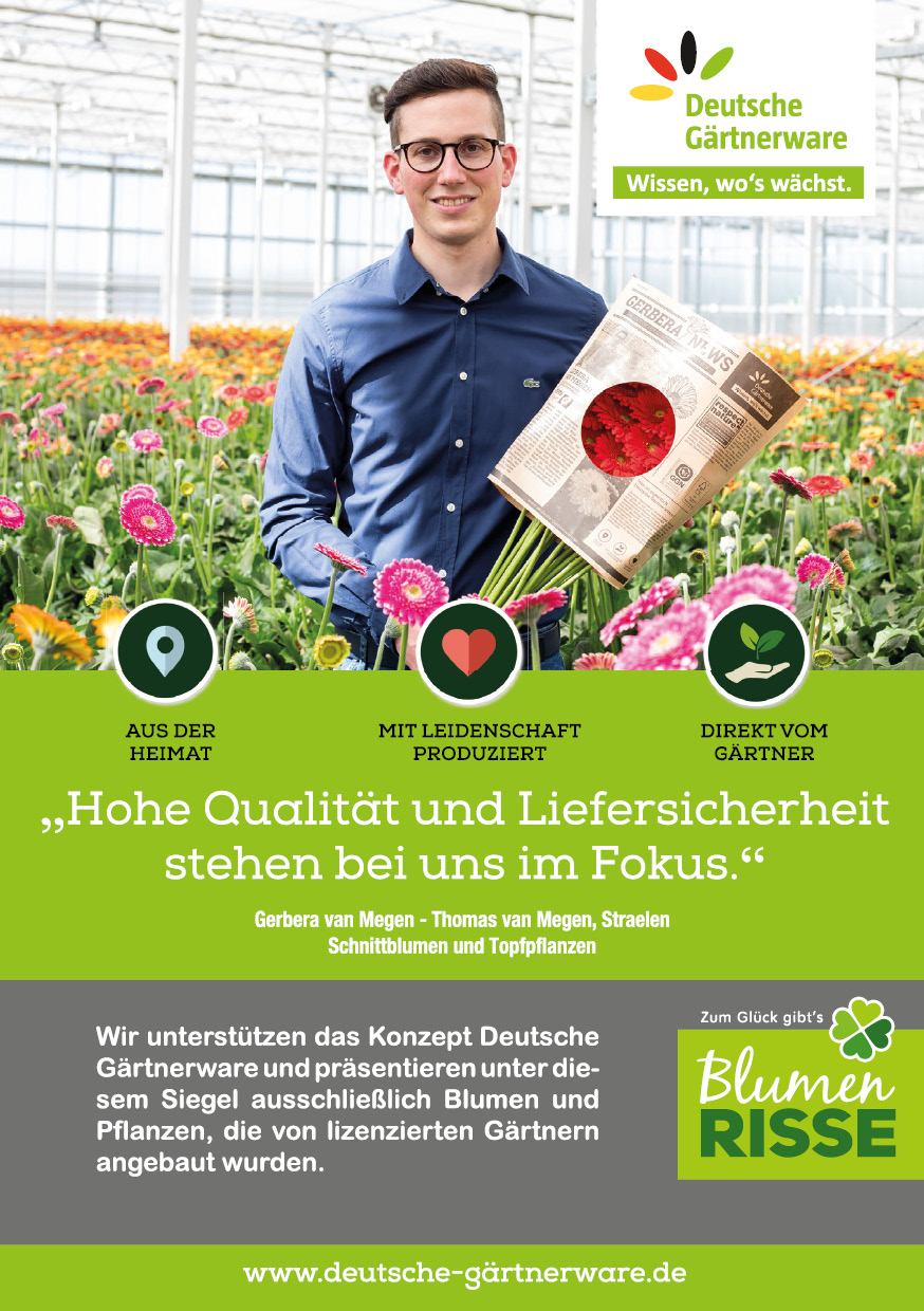 Blumen-Risse, Deutsche-Gaertnerware, Gaertner, Gerbera-van-Megen-GbR, Gerbera