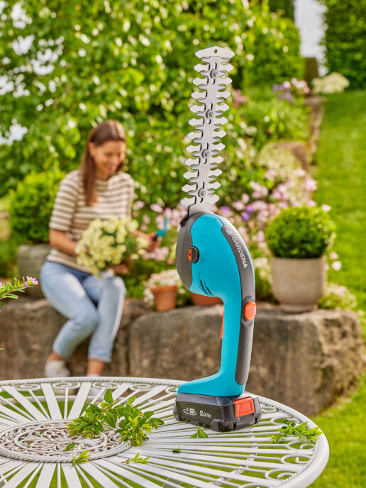 Blumen Risse, Sortiment, Gartentechnik, Gartenmaschinen, Tisch, Pflanzkübel, Akkuschere, Gartenschere, Heckenschere, Hintergrund, Frau, Mauer, Pflanzen, Sommer, Fröhlich