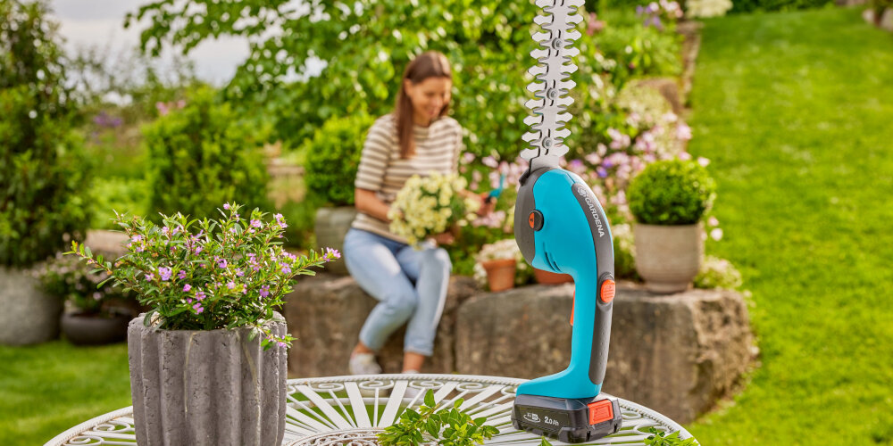Blumen Risse, Sortiment, Gartentechnik, Gartenmaschinen, Tisch, Pflanzkübel, Akkuschere, Gartenschere, Heckenschere, Hintergrund, Frau, Mauer, Pflanzen, Sommer, Fröhlich