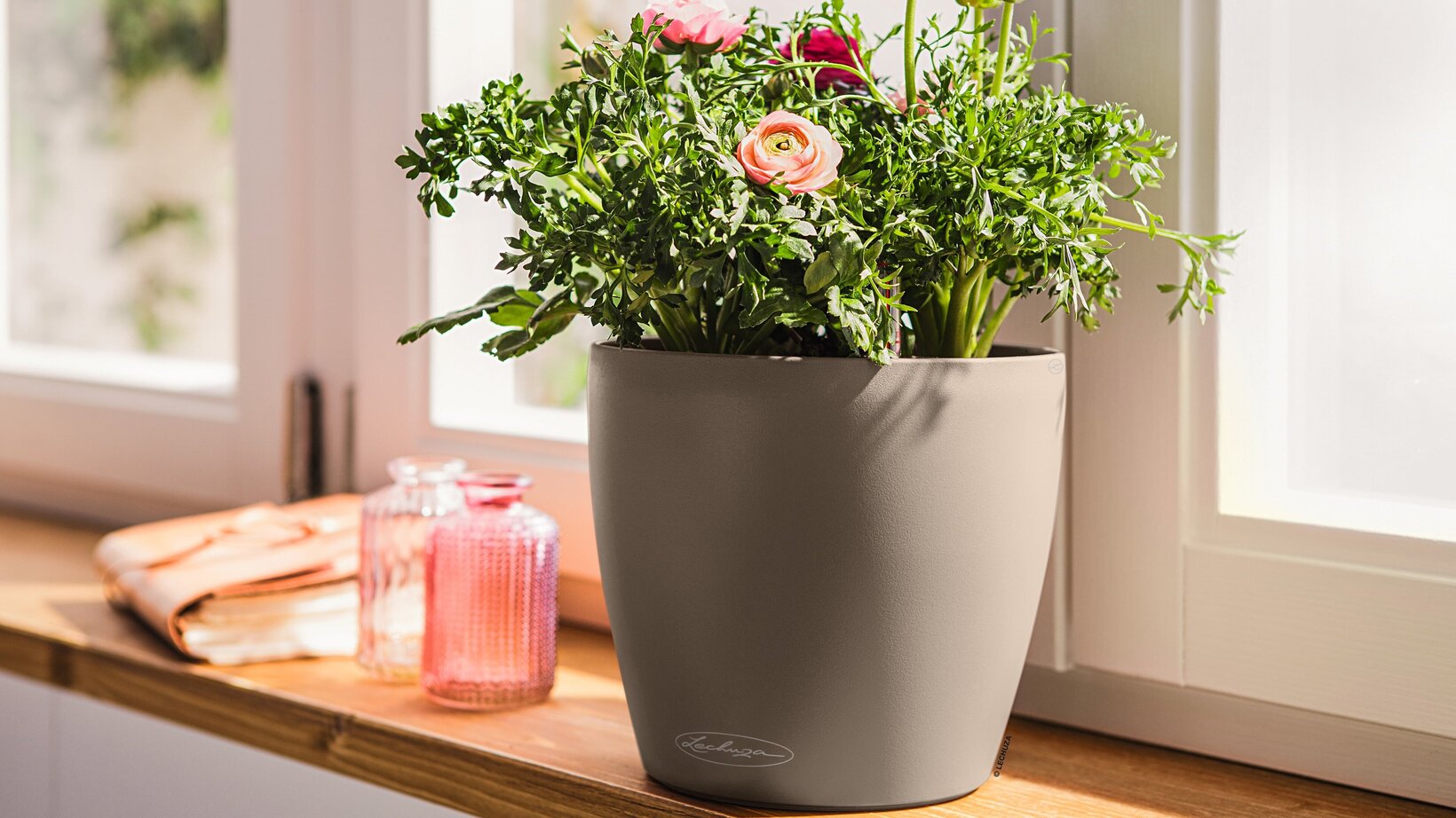 Blumen Risse, Sortiment, Pflanzen, Uebertoepfe, Gefaesse, Beige, Braun, Pflanzgefaesse, 