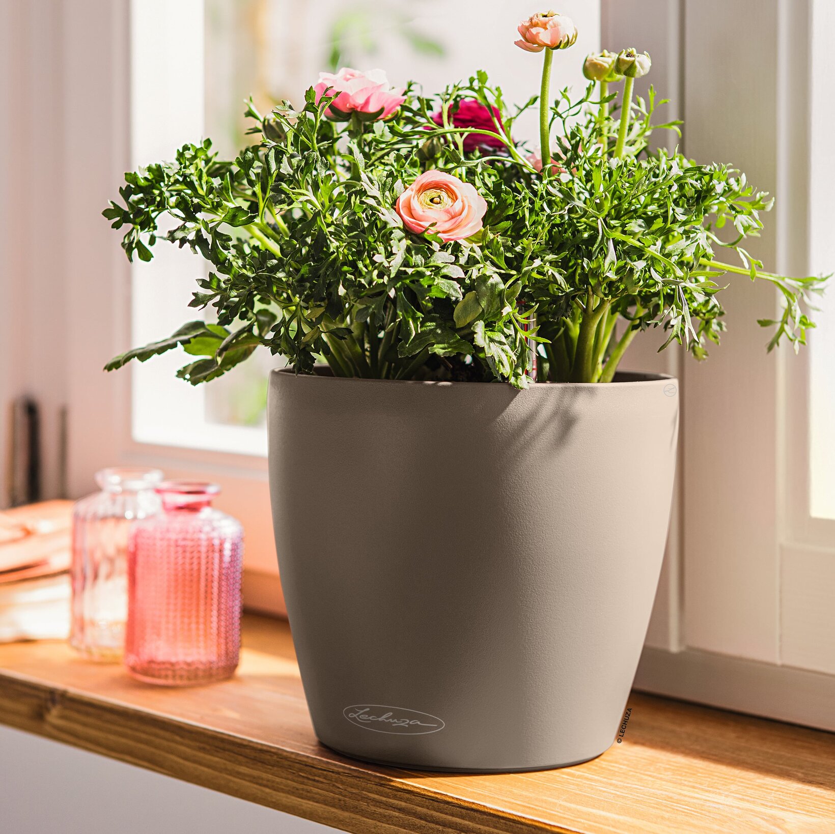 Blumen Risse, Sortiment, Pflanzen, Uebertoepfe, Gefaesse, Beige, Braun, Pflanzgefaesse, 