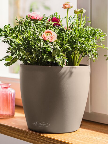 Blumen Risse, Sortiment, Pflanzen, Uebertoepfe, Gefaesse, Beige, Braun, Pflanzgefaesse, 