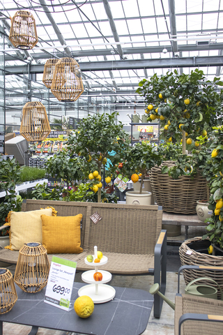 Neueröffnung Gartencenter Recklinghausen Blumen Risse Blumen Risse
