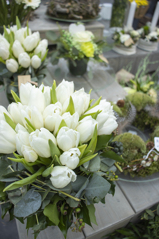 Neueröffnung Gartencenter Recklinghausen Blumen Risse Blumen Risse