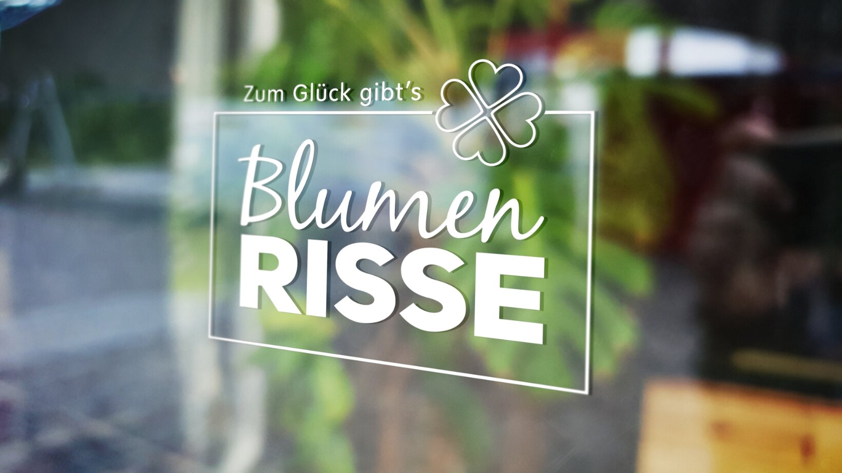 Blumen-Risse, Service, Standorte, Unternehmen