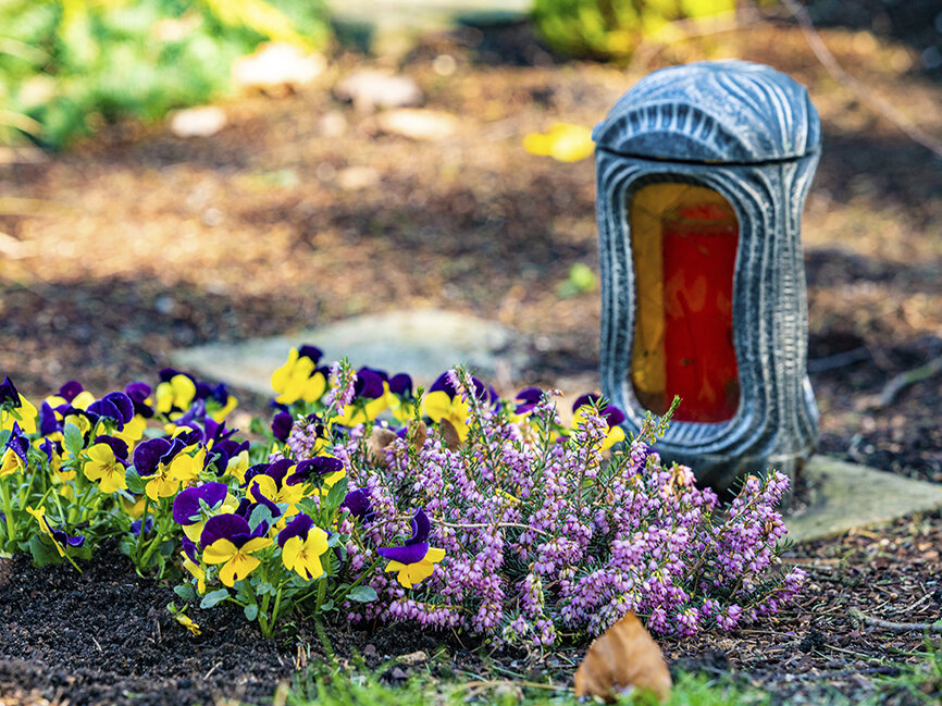 Blumen-Risse, Grabdeko, Allerheiligen, Gedenktag, Grabkerze-steht-auf-bepflanztem-Grab, Heide, Stiefmuetterchen