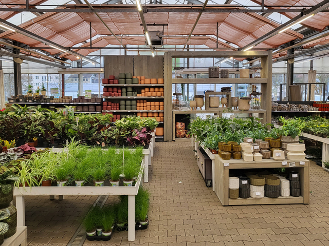 Neues Glücksgefühl nach Umbau in Wuppertal Blumen Risse