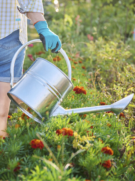 Blumen-Risse, Pflanzen, Universaldünger, Frau-läuft-mit-Dünger-gefüllten-Gießkanne-durch-Blumenbeet