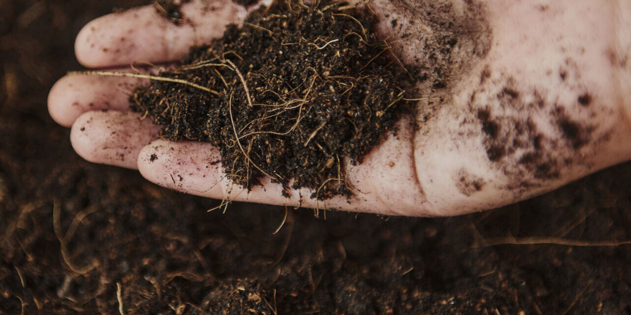 Blumen Risse, Sortiment, Garten, Erde, Braun, Beige, Blumenerde, Spezialerde, Hand, fuehlen