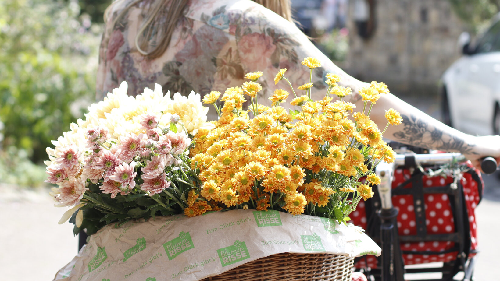 Blumen-Risse, Sortiment, Blumen, Saison, Rose, Gelb, Grün