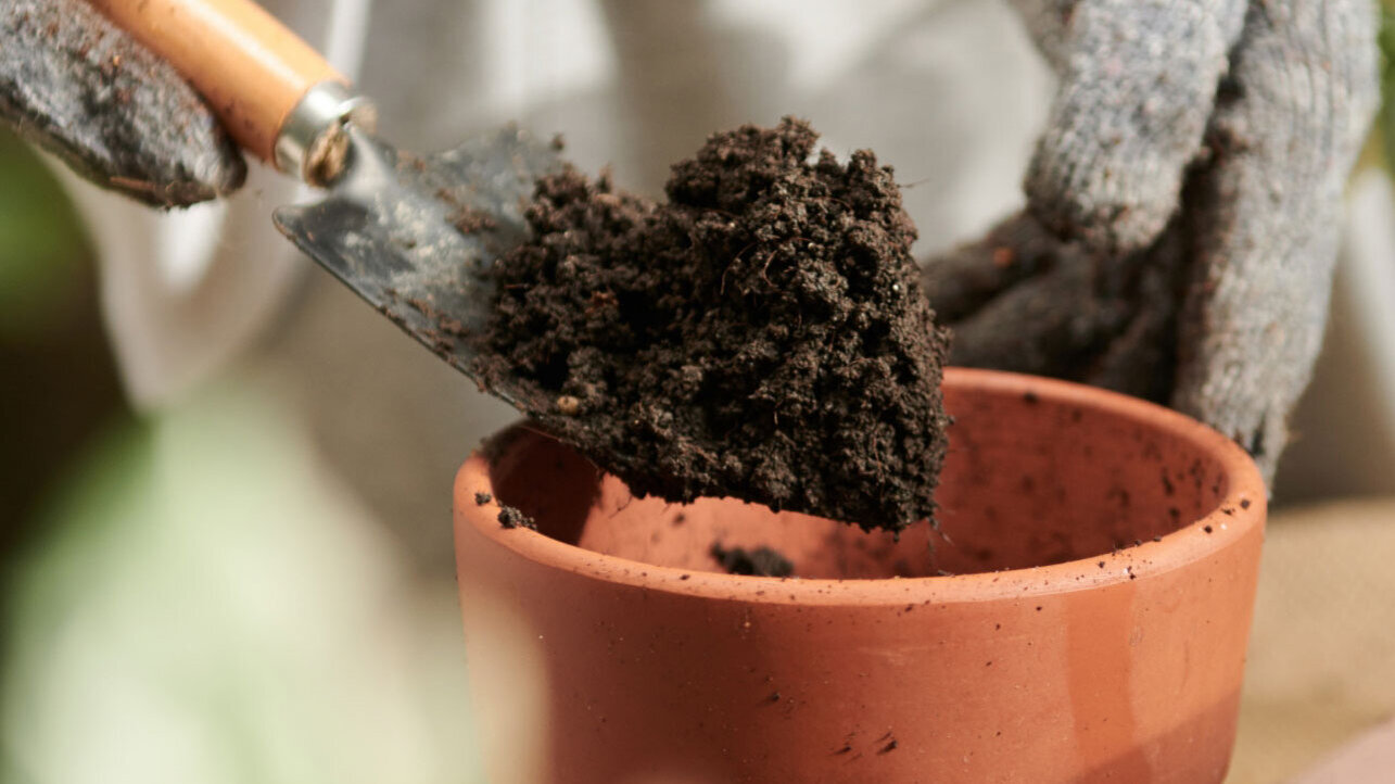 Blumen Risse, Sortiment, Garten, Erde, Braun, Beige, Grau, Blumenerde, Pflanzerde, Pflanztopf, Hand, Gartenwerkzeug, Kelle, Einpflanzen, Umtopfen