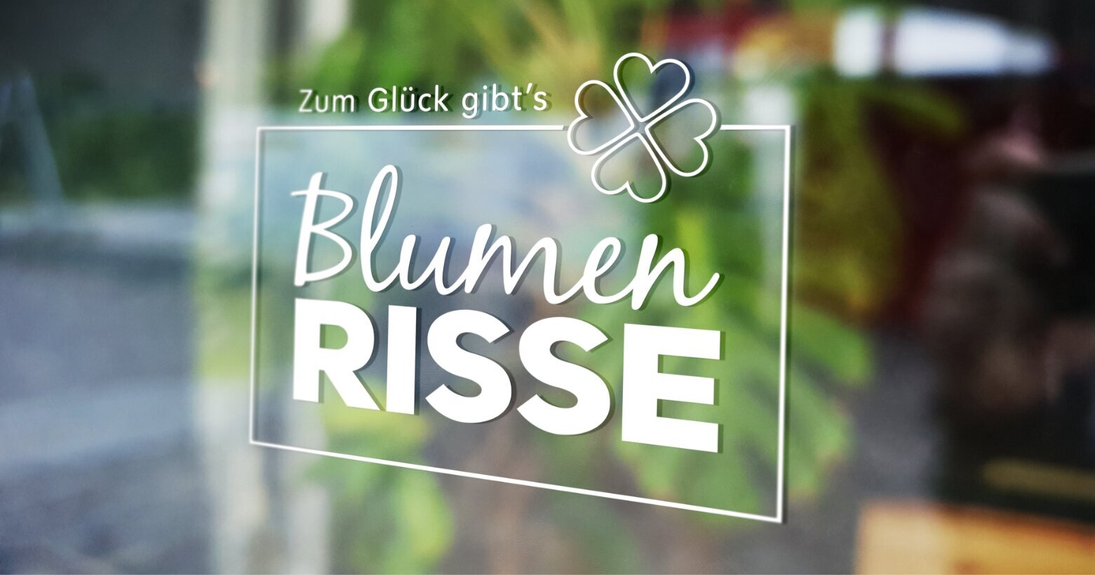 Blumen und Pflanzen online bestellen Fachhandel Blumen Risse