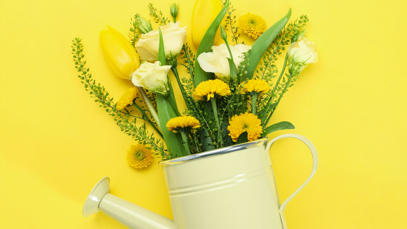 Blumen-Risse, Sortiment, Blumen, Gießkanne, Gelb, Grün