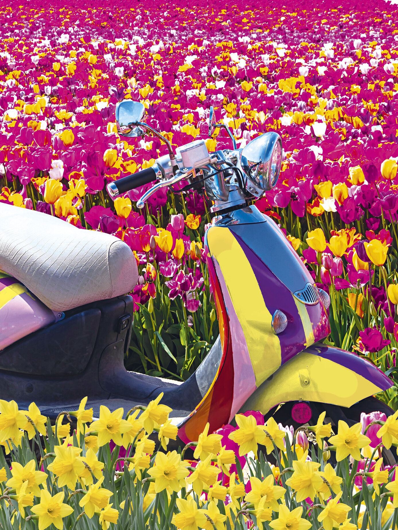 Blumen-Risse, Titelbild, Frühlingslust-Fröhlicher-Start-ins-Gartenjahr, bunte-Vespa-in-blühendem-Tulpenfeld
