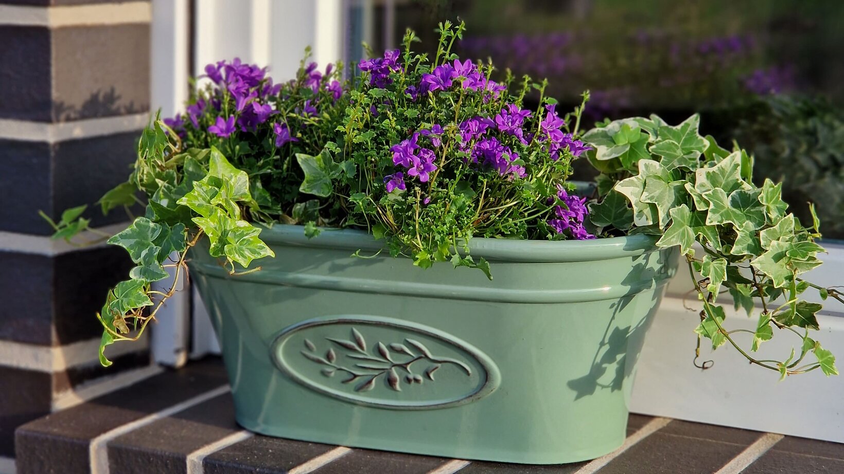 Blumen-Risse, Markenwelt, Helmes, Home-Garden, Header, Blumenkasten, Fensterbank, Bepflanzt, Grün