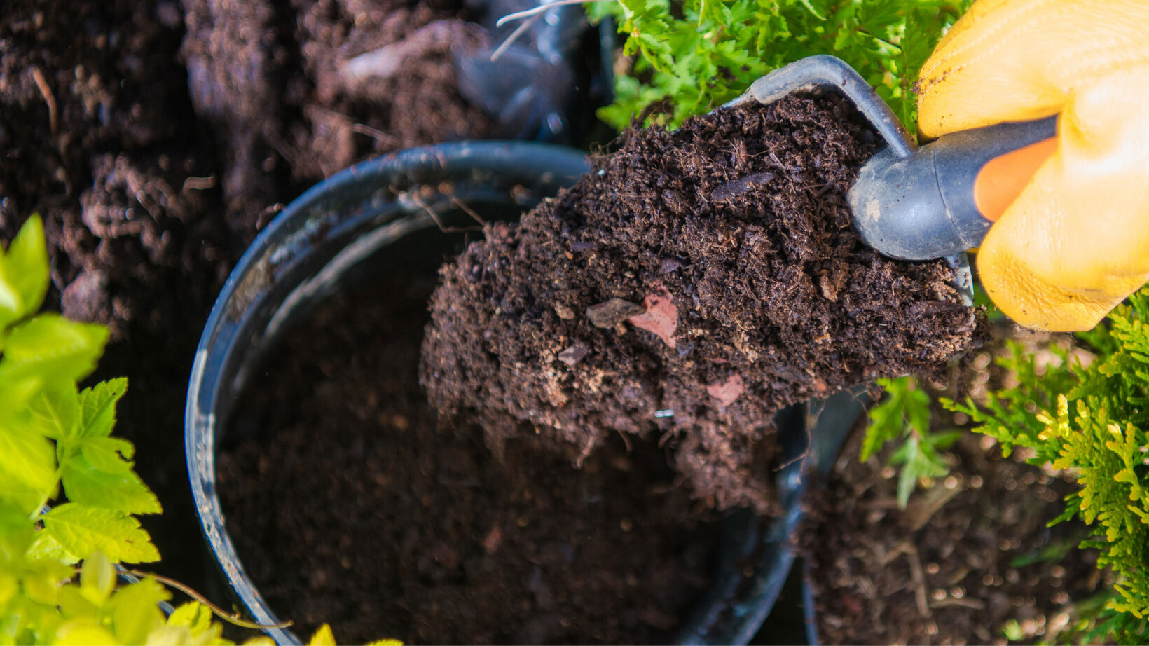 Blumen Risse, Sortiment, Pflanzen, Anzucht, Braun, Grau, Gelb, Gruen, Erde, Anzuchttoepfe, Gartenwerkzeug, Hand, Handschuh, Pflanzkelle