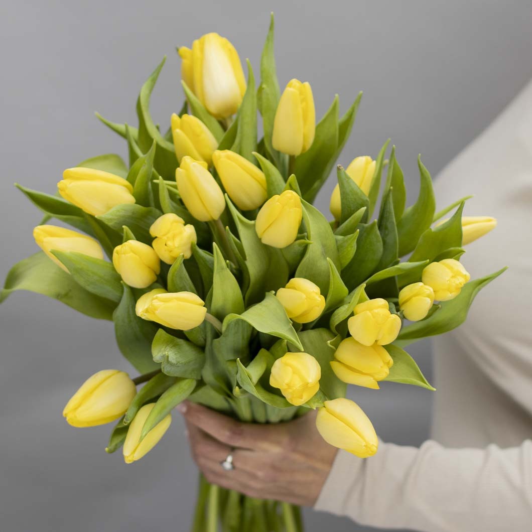 Blumen-Risse, Schnittblumen, Bundware, BU032-34-Premium-Tulpen-Gelb