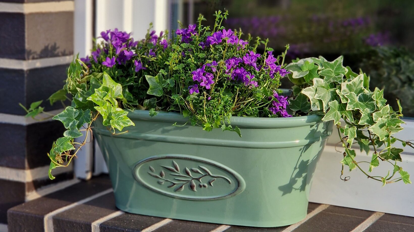 Blumen-Risse, Markenwelt, Helmes, Home-Garden, Header, Blumenkasten, Fensterbank, Bepflanzt, Grün