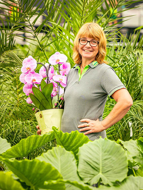 Blumen-Risse, Karriere, Gaertner, Gruen, Grau, Rosa, Person, Topfpflanzen, Zimmerpflanzen, Orchidee, Arbeiten-bei-blumen-Risse