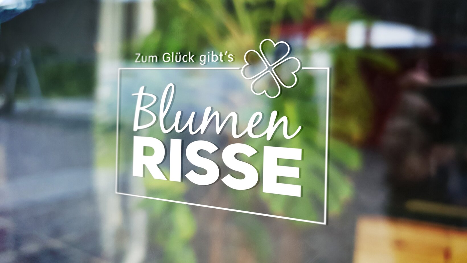 Blumen-Risse, Service, Unternehmen