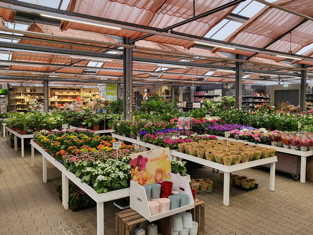 Neues Glücksgefühl nach Umbau in Wuppertal Blumen Risse