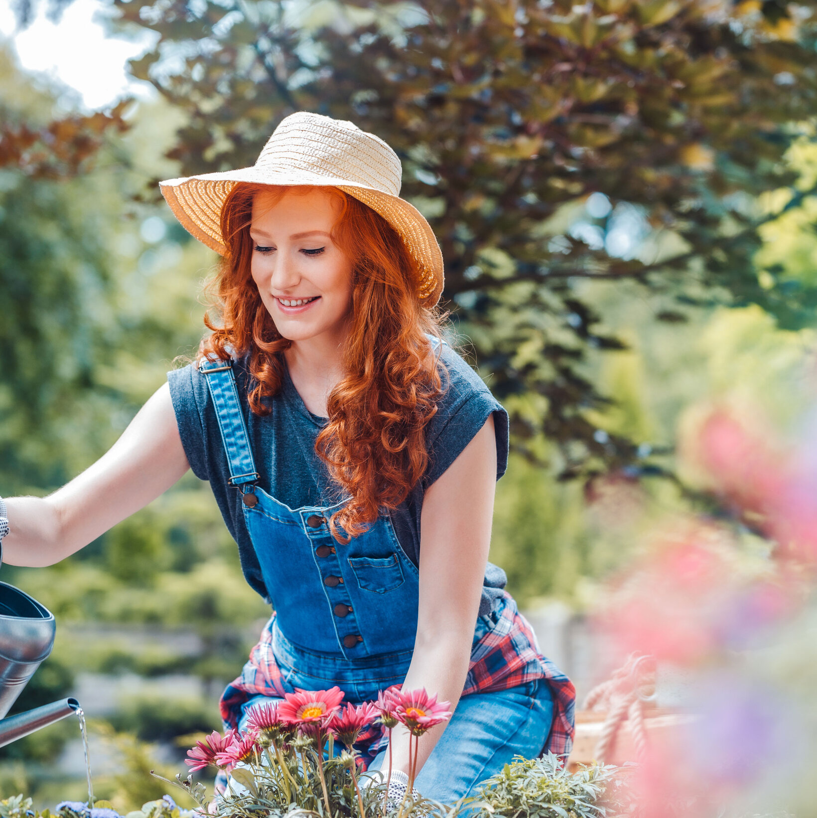 Frhblhende Stauden | Blumen Risse - Blumen Risse