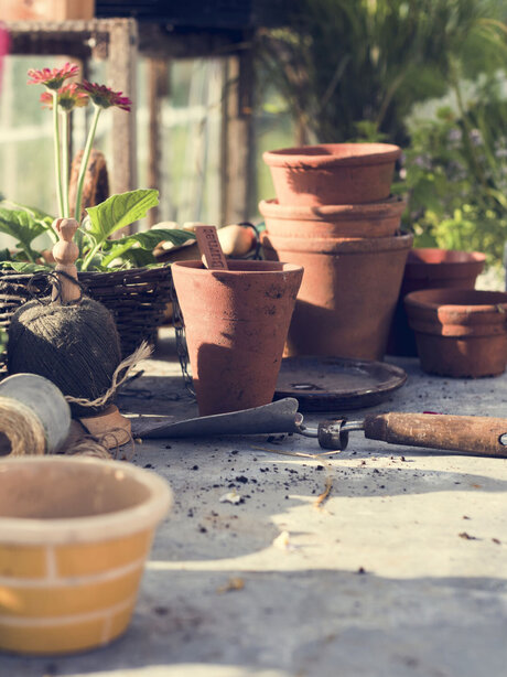 Blumen Risse, Sortiment, Pflanzen, Anzucht, Braun, Grau, Gruen, Pflanztisch, Pflanztoepfe, Tontoepfe, Pflanzen, Erde, Gewaechshaus, Pflanzkelle, Anzucht