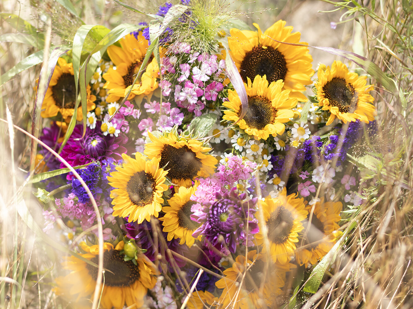 Blumen-Risse, Aktuelles, Aktion-Sonnenblumen, Sonnenblumenstrauss-fotografiert-in-Sommerfeld
