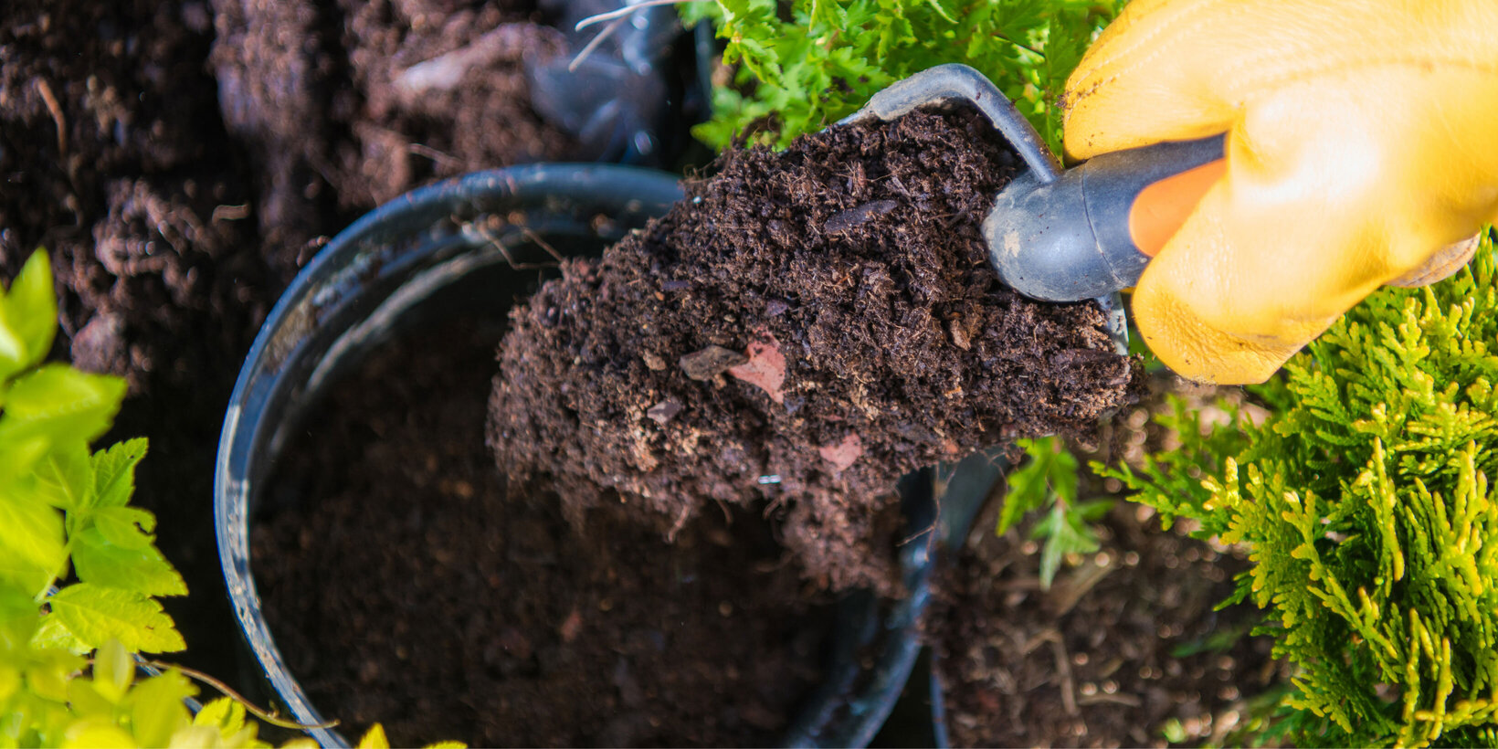 Blumen Risse, Sortiment, Garten, Erde, Braun, Beige, gelb, Schwarz, Blumenerde, Pflanzenerde, Garten, Hand, Pflanzschippe, Erde, Pflanztopf, Pflanzen
