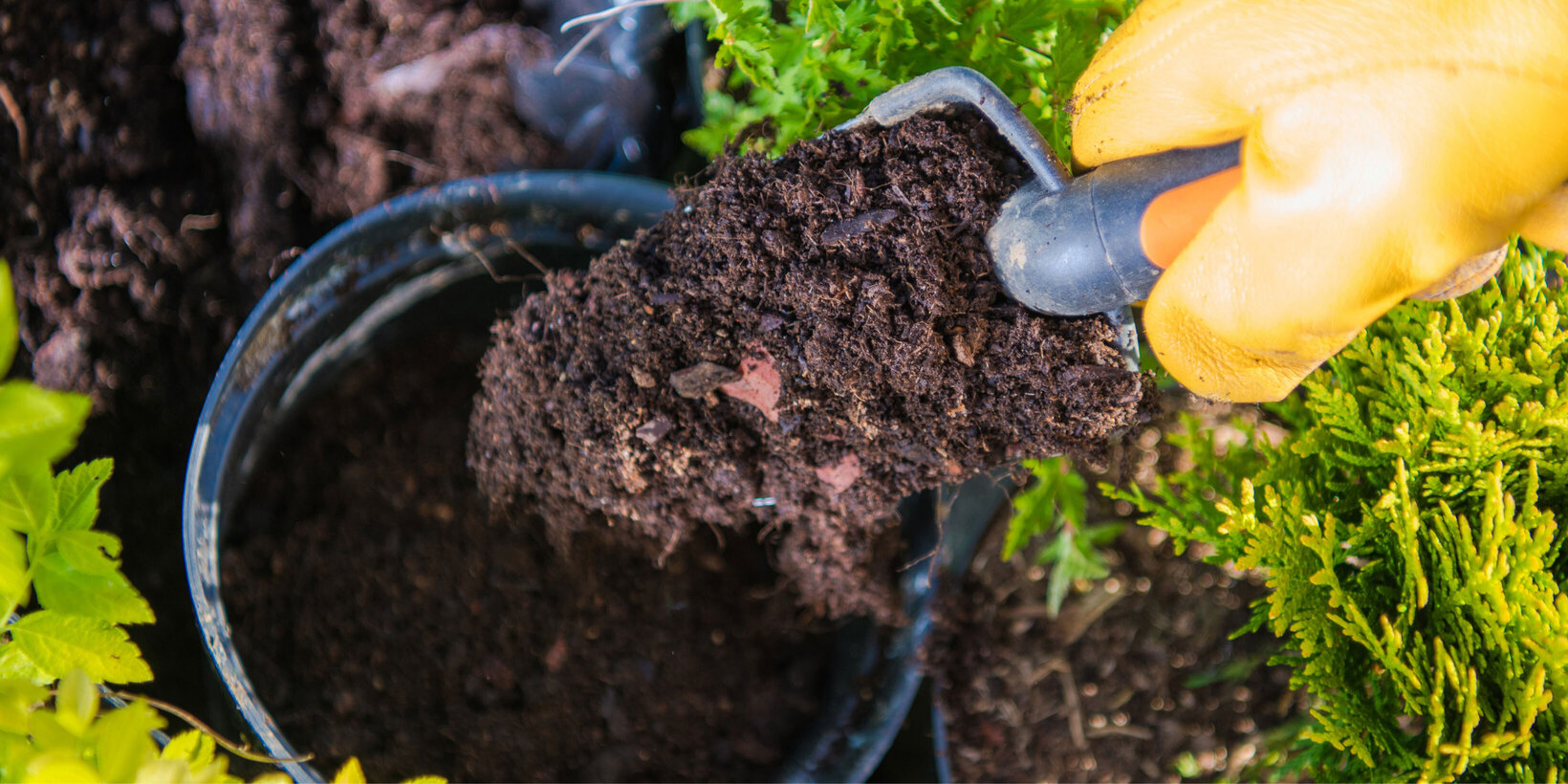 Blumen Risse, Sortiment, Garten, Erde, Braun, Beige, gelb, Schwarz, Blumenerde, Pflanzenerde, Garten, Hand, Pflanzschippe, Erde, Pflanztopf, Pflanzen
