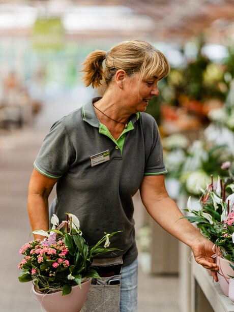 Blumen-Risse, Karriere, Blumen