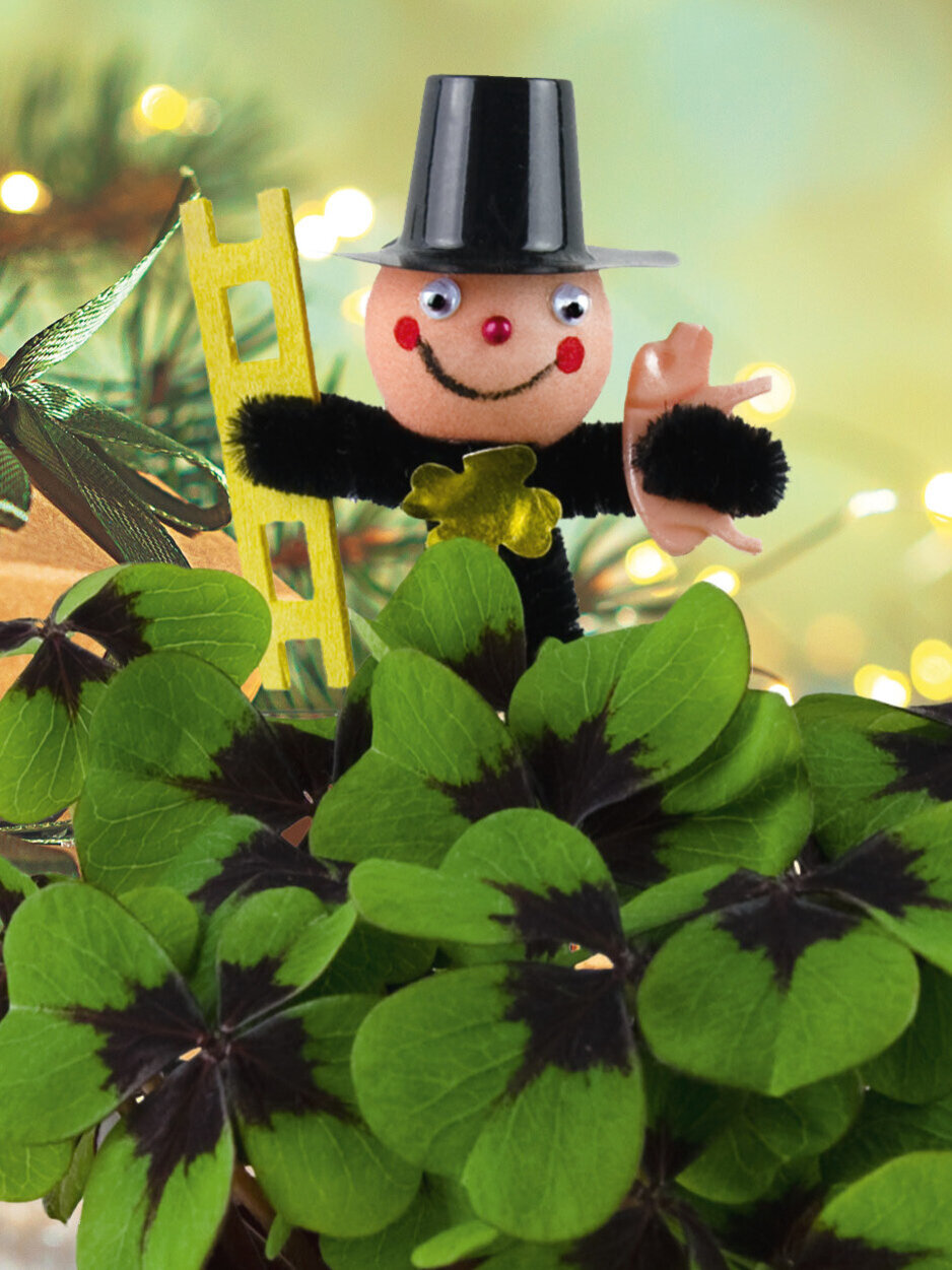 Blumen-Risse, Gluecksklee, Geschenk, Mitbringsel, Gluecksbringer, Klee-mit-Figur-Schornsteinfeger