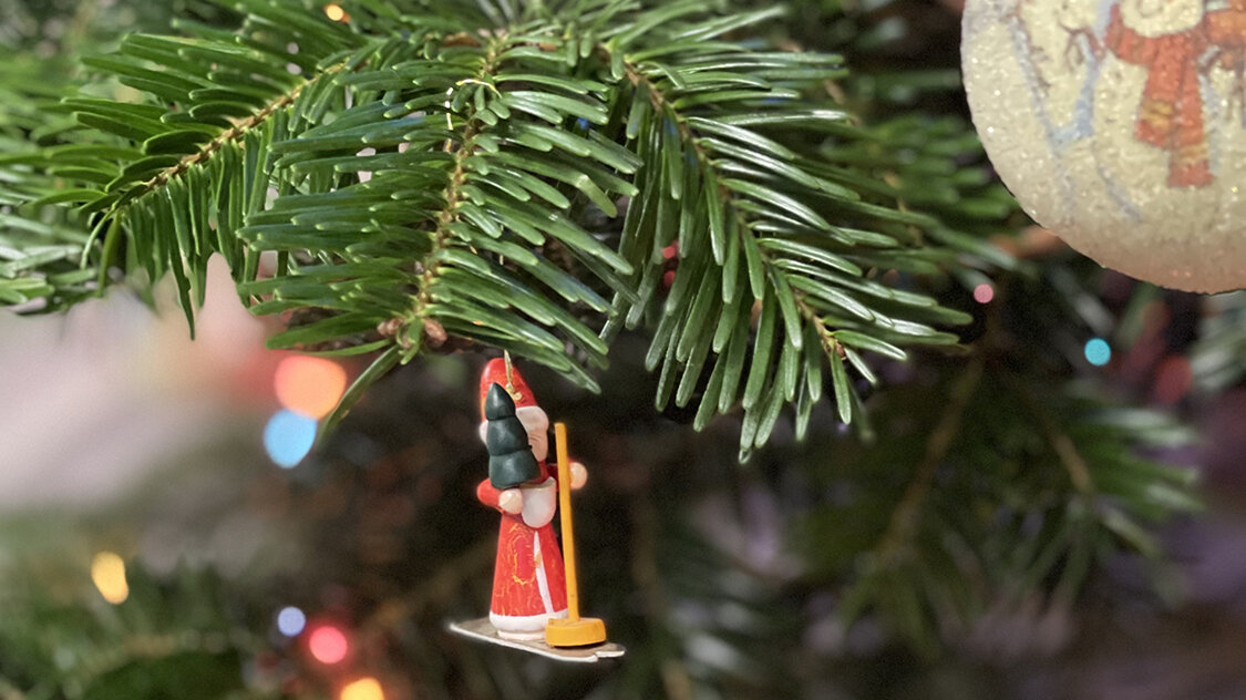  	Mit den Weihnachtsbaum-Tipps von Blumen-Risse bleibt Dein Baum länger frisch und prachtvoll.