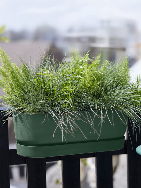Blumen Risse, Sortiment, Pflanzen, Uebertoepfe, Pflanzgefaesse, Balkonkasten, Balkon, Skyline