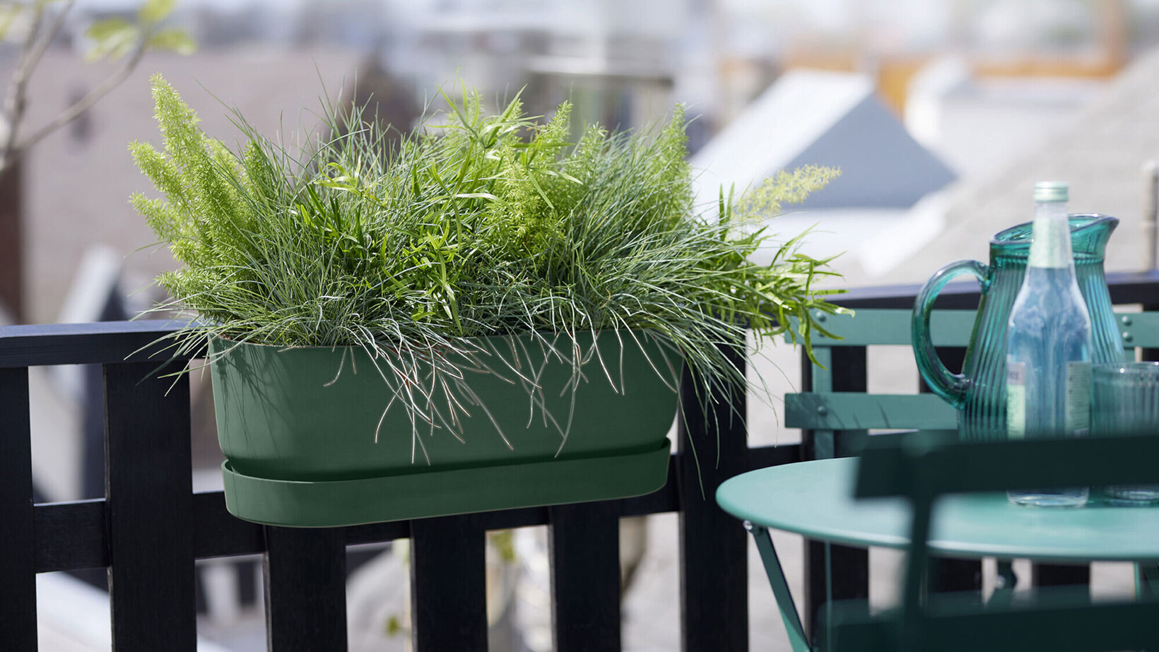 Blumen Risse, Sortiment, Pflanzen, Uebertoepfe, Pflanzgefaesse, Balkonkasten, Balkon, Skyline