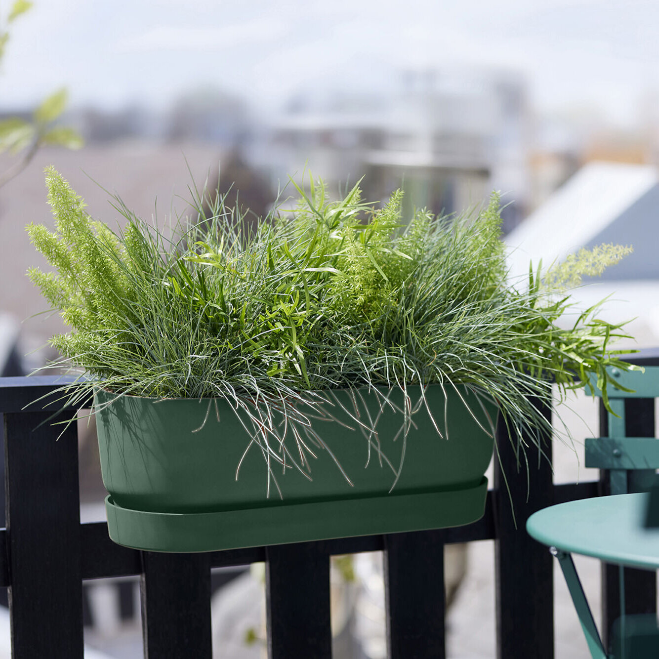 Blumen Risse, Sortiment, Pflanzen, Uebertoepfe, Pflanzgefaesse, Balkonkasten, Balkon, Skyline