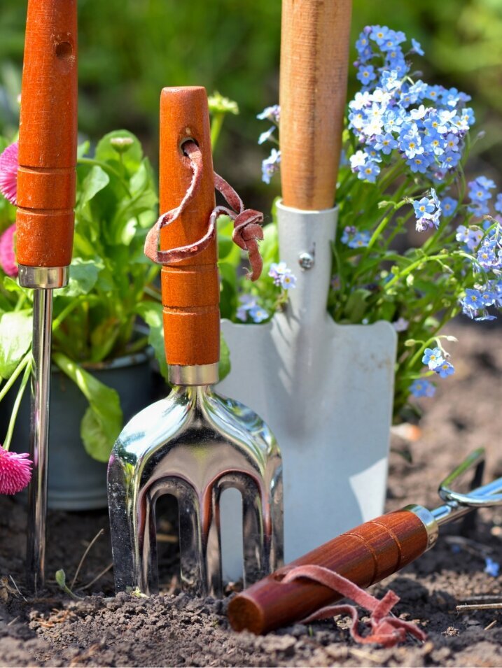 Blumen-Risse, Ratgeber, Gartenwerkzeug, Blumen, Pflanzen