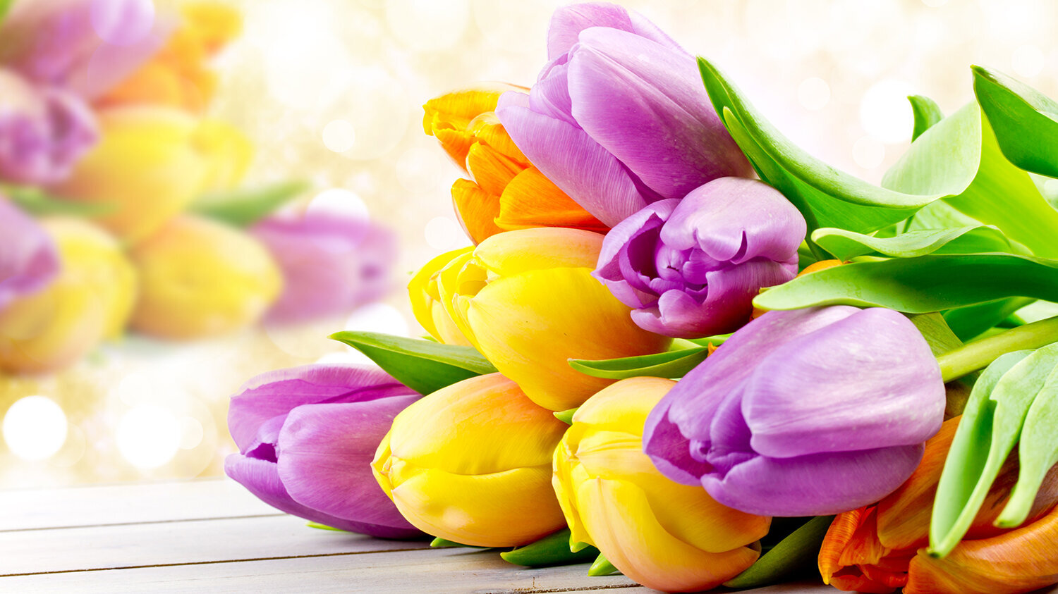 Blumen-Risse, Blumen, Schnittblumen, Gelb, Orange, Lila, Tulpen-liegen-auf-Holztisch