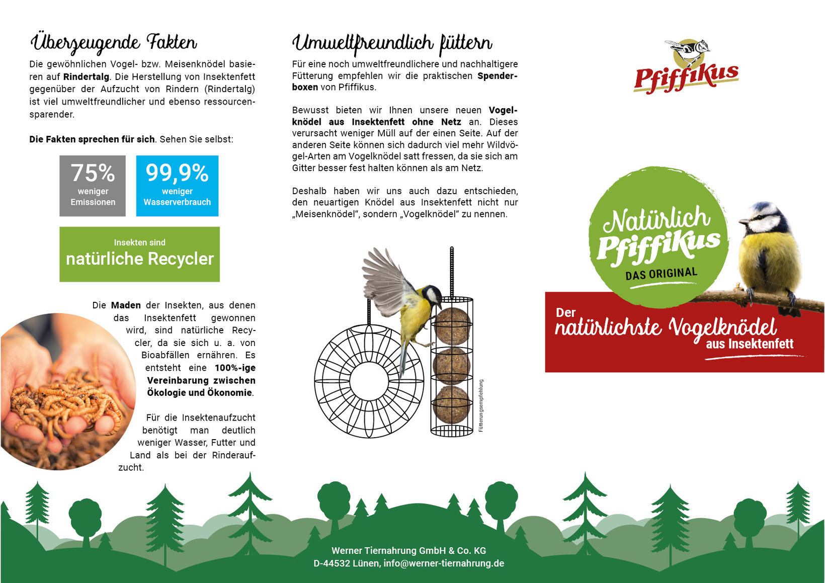 Blumen-Risse, Landingpages, Pfiffikus, Flyer