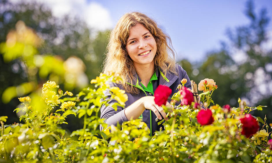 Blumen-Risse, Ratgeber, Beraten, Greun, Rot, Grau, Mitarbeiter, Arbeiten-bei-Blumen-Risse