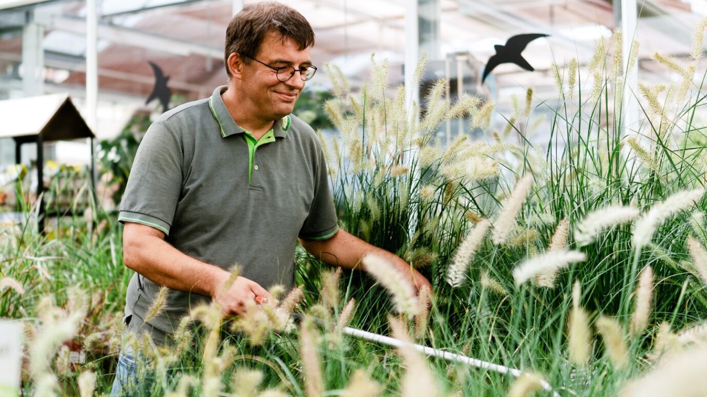 Blumen-Risse, Karriere, Ausbildung, Pflanzen