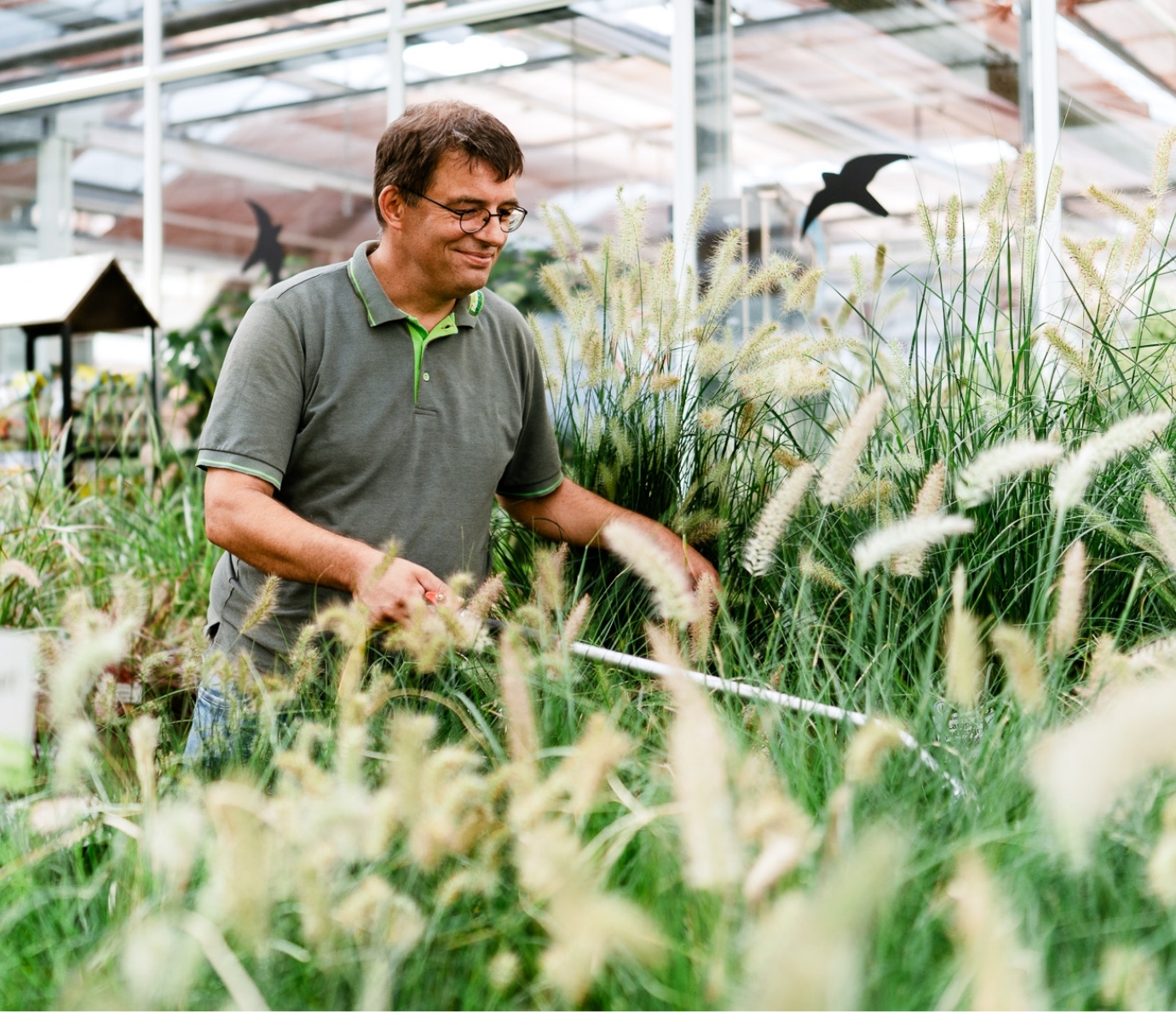 Blumen-Risse, Karriere, Ausbildung, Pflanzen