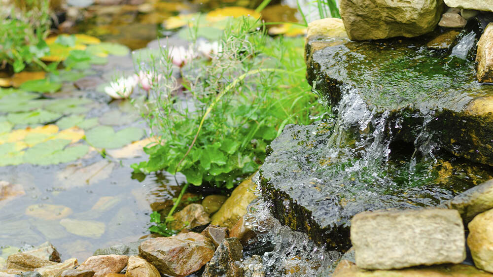 Blumen Risse, Sortiment, Garten, Brunnen, Gartendeko, Gartenbrunnen, Braun, Gruen, Rosa, Wasser, natuerlicher, Wasserlauf, Natursteine, Teich, Wasserpflanzen