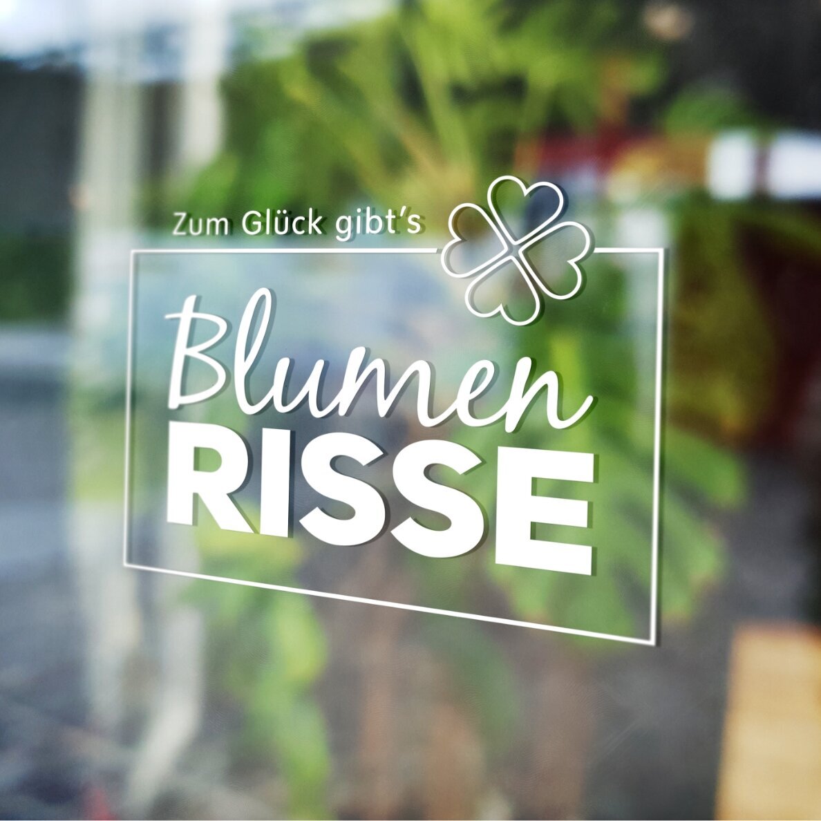 Blumen-Risse, Service, Weiss, Gruen