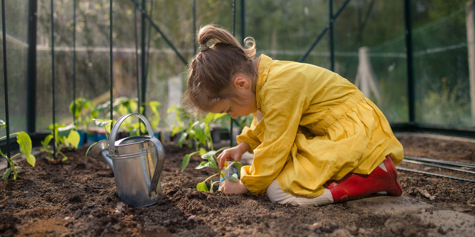 Blumen Risse, Sortiment, Pflanzen, Anzucht, Braun, Grau, Gelb, Rot, Gruen, Erde, Jungpflanzen, Kind, Gießkanne, Gewaechshaus
