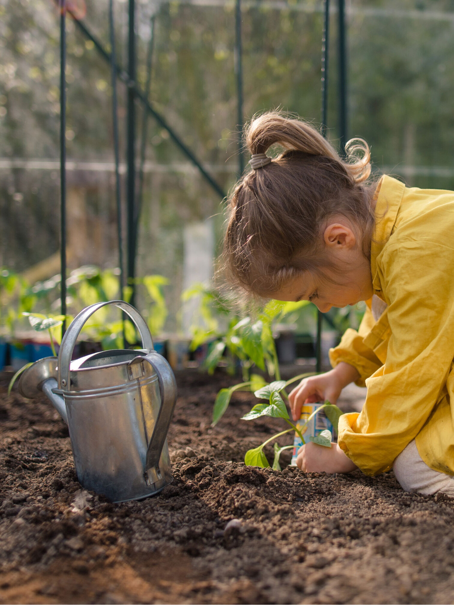 Blumen Risse, Sortiment, Pflanzen, Anzucht, Braun, Grau, Gelb, Rot, Gruen, Erde, Jungpflanzen, Kind, Gießkanne, Gewaechshaus