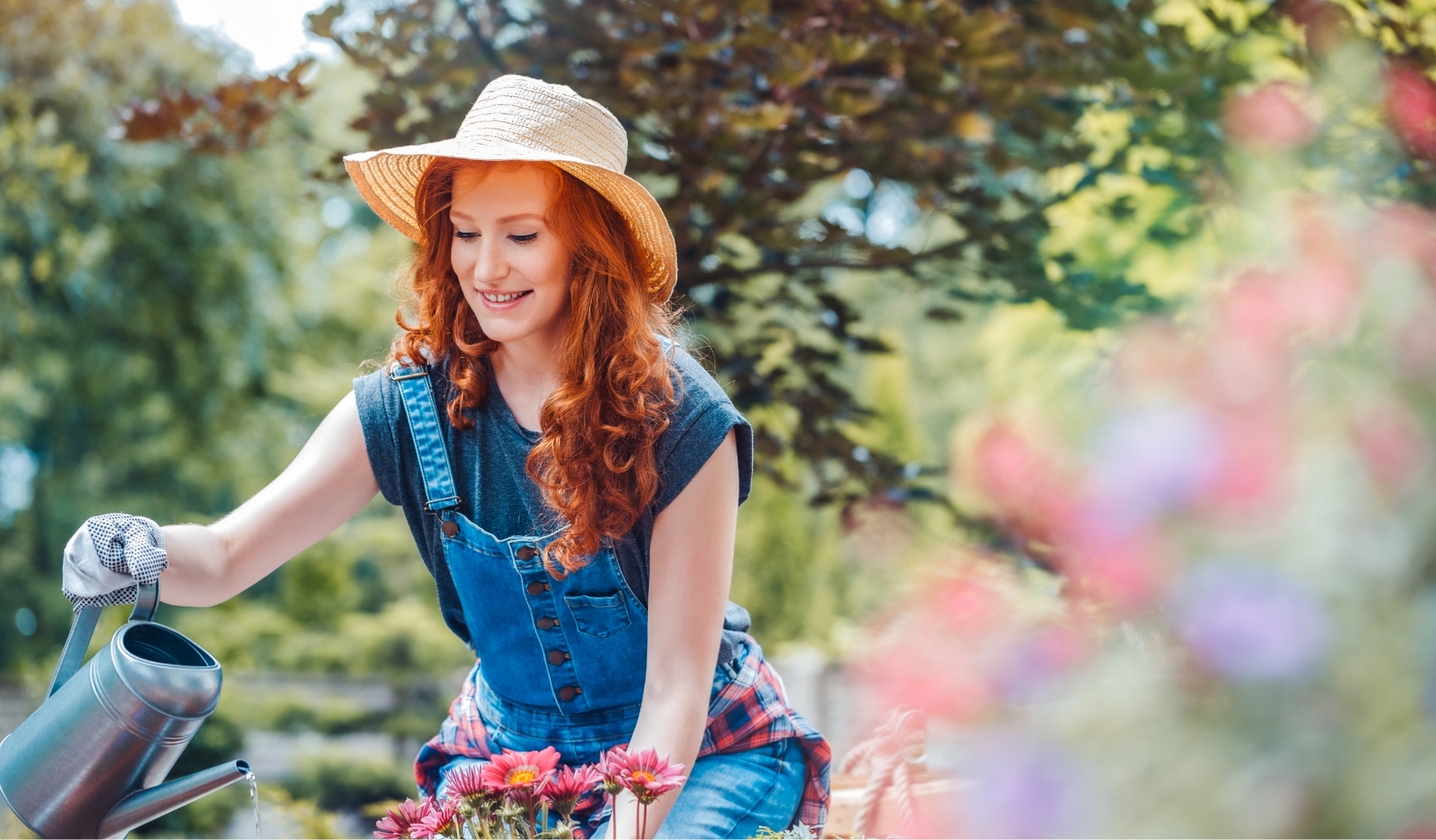 Blumen-Risse, Ratgeber, Giessen, Blumen, Fruehling