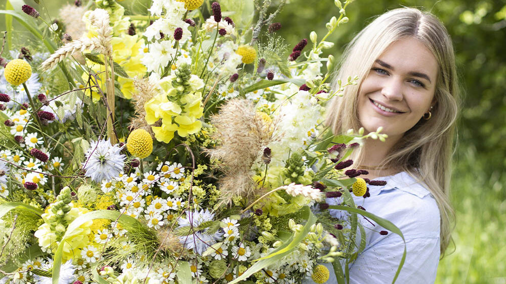Blumen-Risse, Sortiment, Blumen, Saison, Gelb, Weiss, Lila, Sonnenblumen, Strauss, Natur, Person