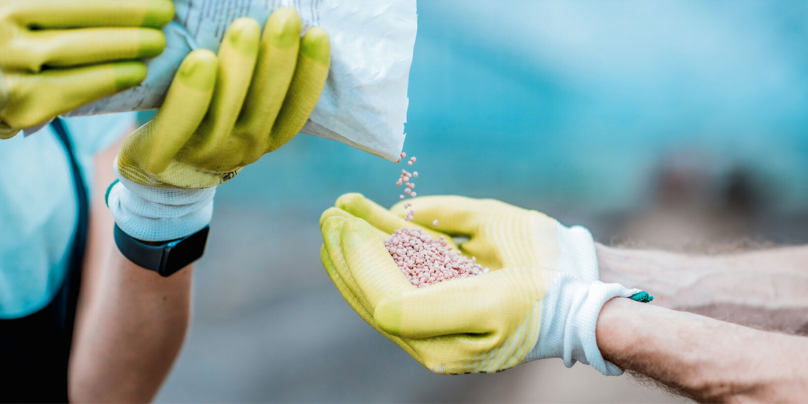 Blumen Risse, Sortiment, Pflanzenduenger, Blau, Gelb, Beige, Hellblau, Anzucht, Pflege, Naehrstoffe, Personen, Haende, Duenger, Tuete