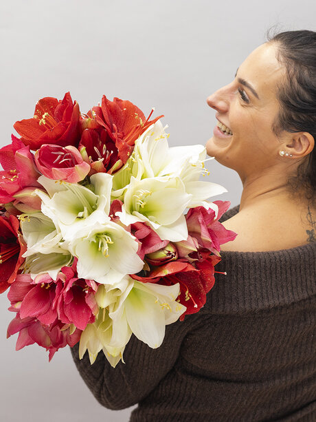 Blumen-Risse, Blumen, Schnittblumen, Weiß, Rot, Rosa, Frau-traegt-Amaryllis-ueber-linker-Schulter